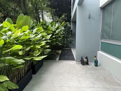 Botannia (D5), Condominium #555208061